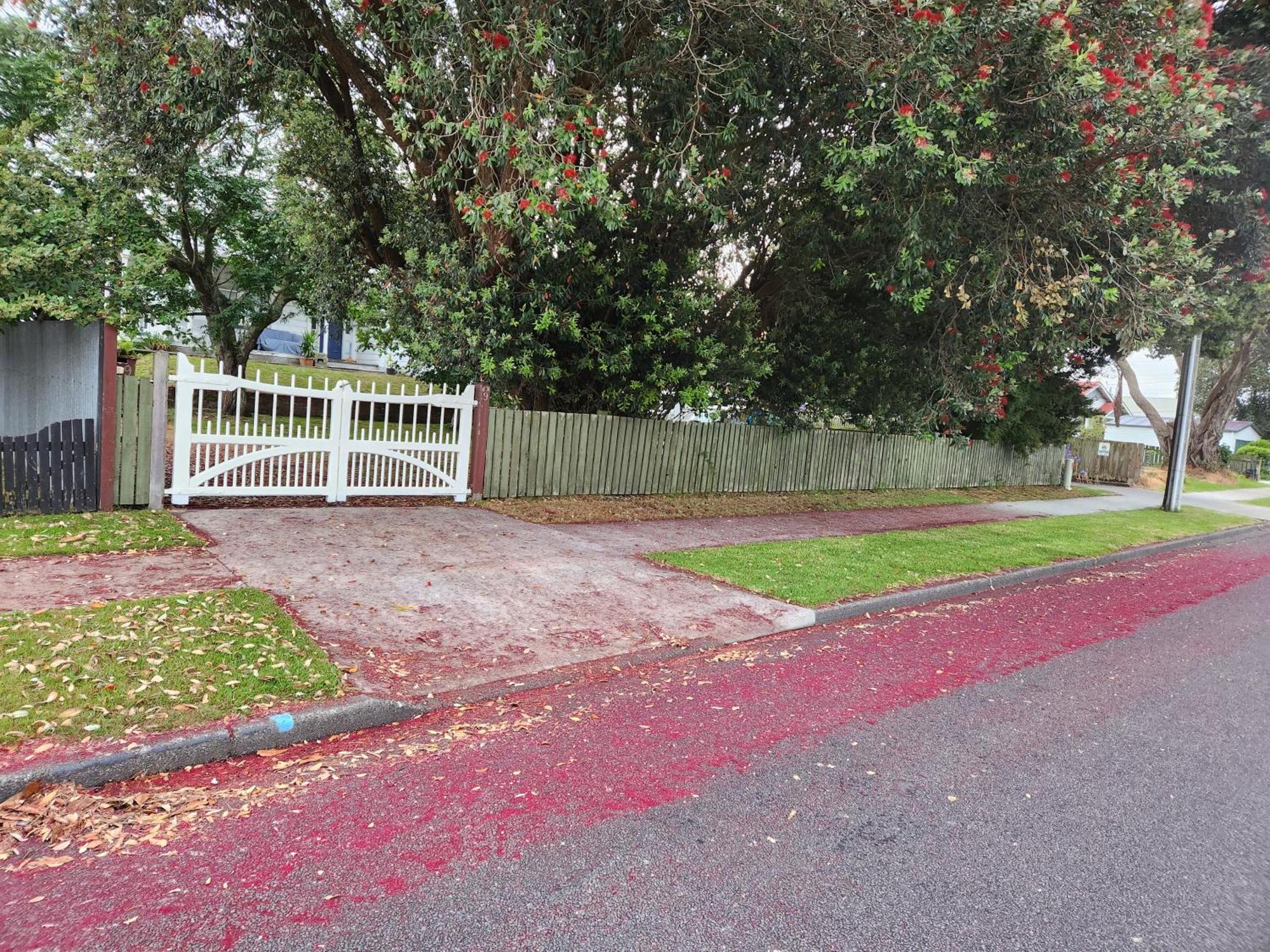 Quirky Villa Homestay Whanganui Kültér fotó