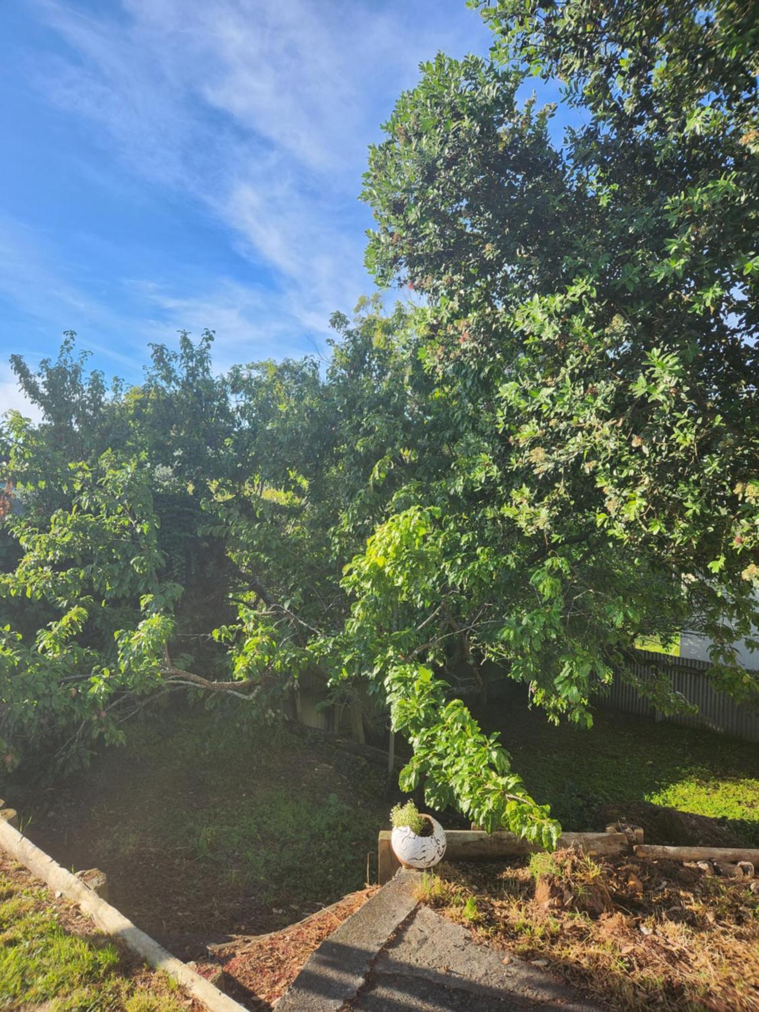 Quirky Villa Homestay Whanganui Kültér fotó