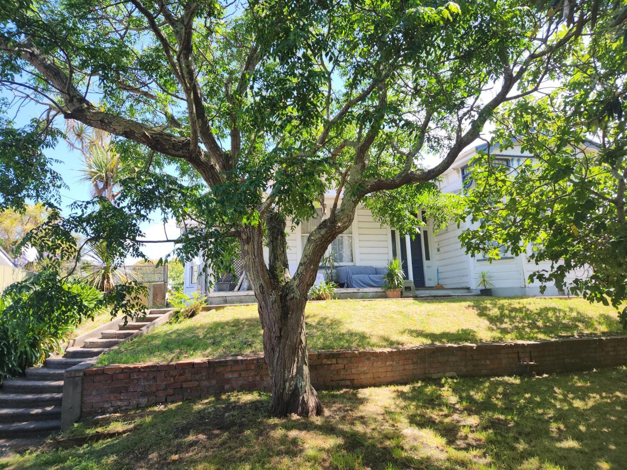 Quirky Villa Homestay Whanganui Kültér fotó